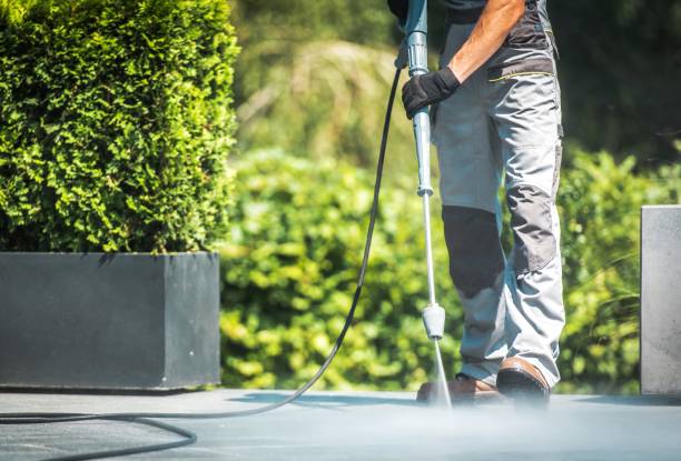 Best Roof Washing  in Cedar Glen Lakes, NJ