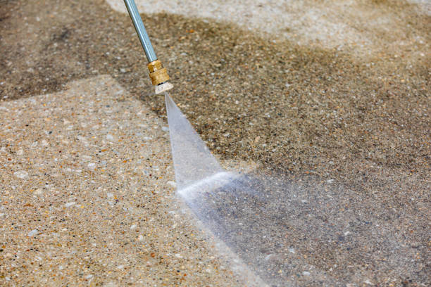 Best Animal Enclosure Cleaning  in Cedar Glen Lakes, NJ